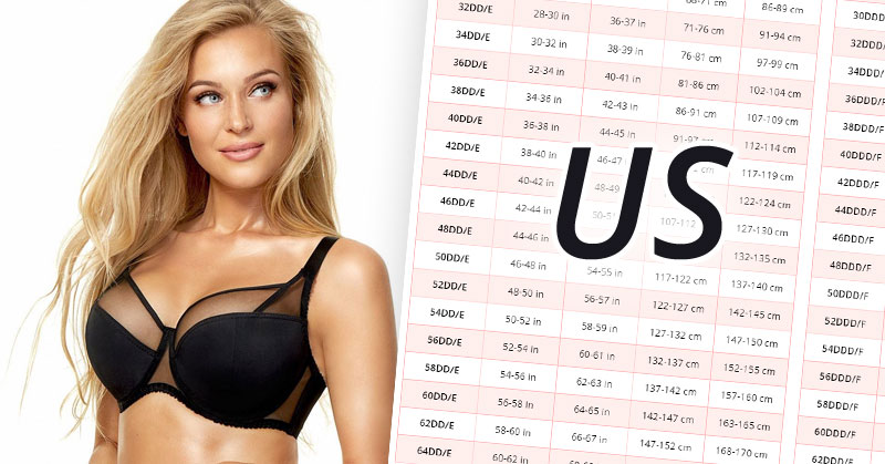 American (US) Bra Sizes in Inches and 