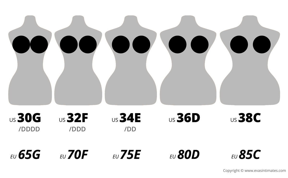 Average Size Figure Types in 30G Bra Size E Cup Sizes Black Three