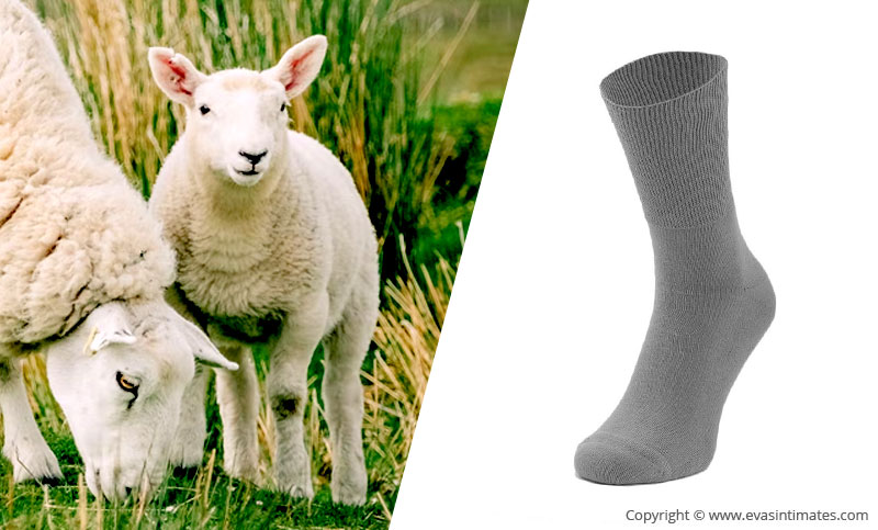 The Benefits of Lambswool