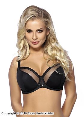 Stylish bra, sheer trim